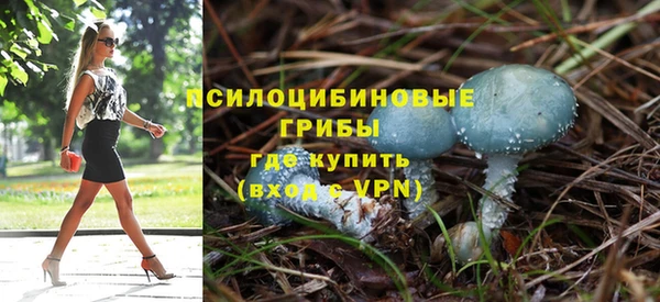 спиды Абинск