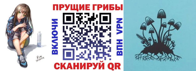 Галлюциногенные грибы ЛСД Назрань