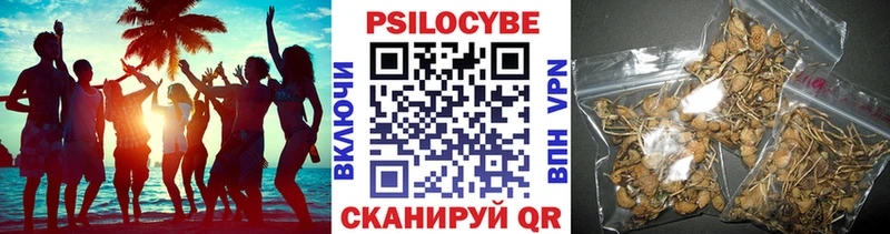 Галлюциногенные грибы мухоморы  купить наркоту  Назрань 